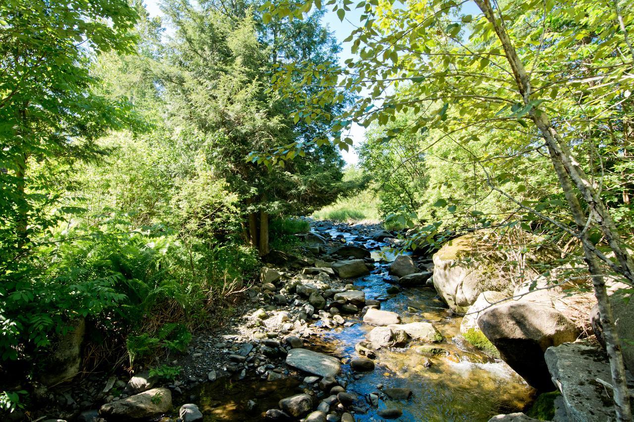 Camping Chalets Spas Pignons Rouges Saint Romain Kültér fotó