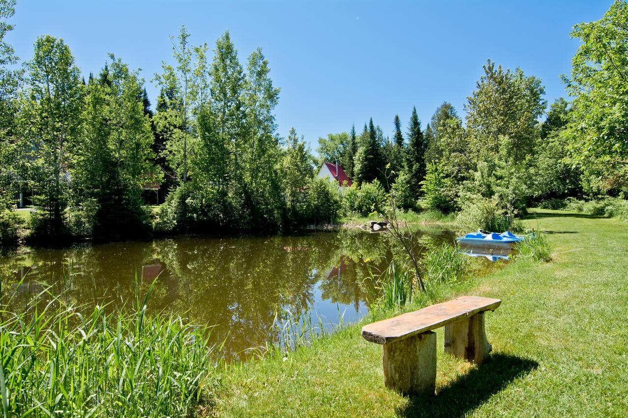 Camping Chalets Spas Pignons Rouges Saint Romain Kültér fotó