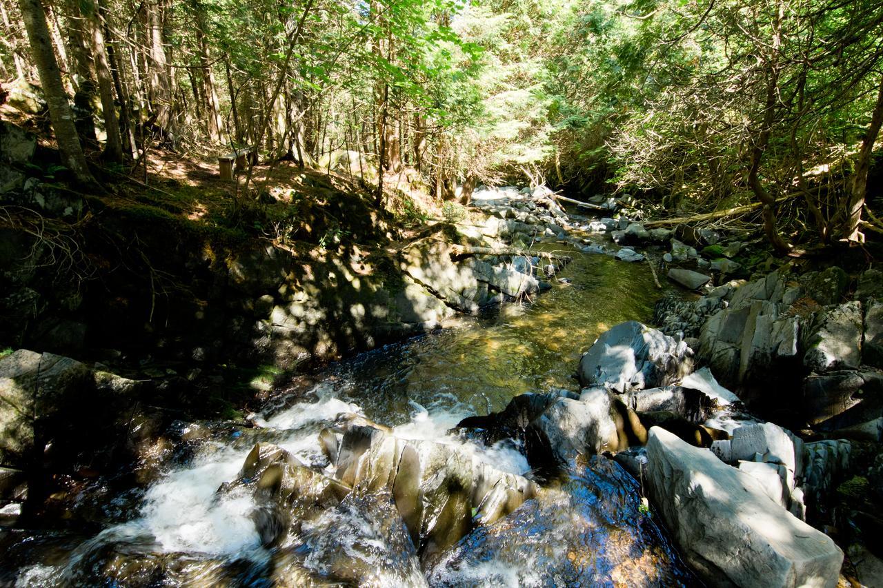 Camping Chalets Spas Pignons Rouges Saint Romain Kültér fotó