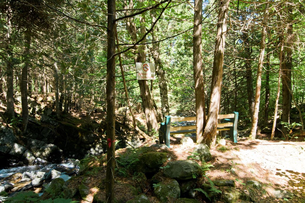 Camping Chalets Spas Pignons Rouges Saint Romain Kültér fotó